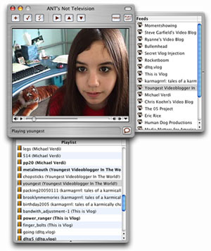ANT screenshot